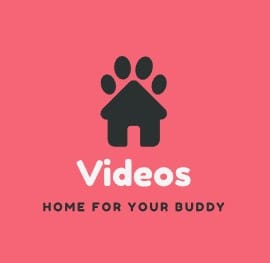 Video Hot Jepang